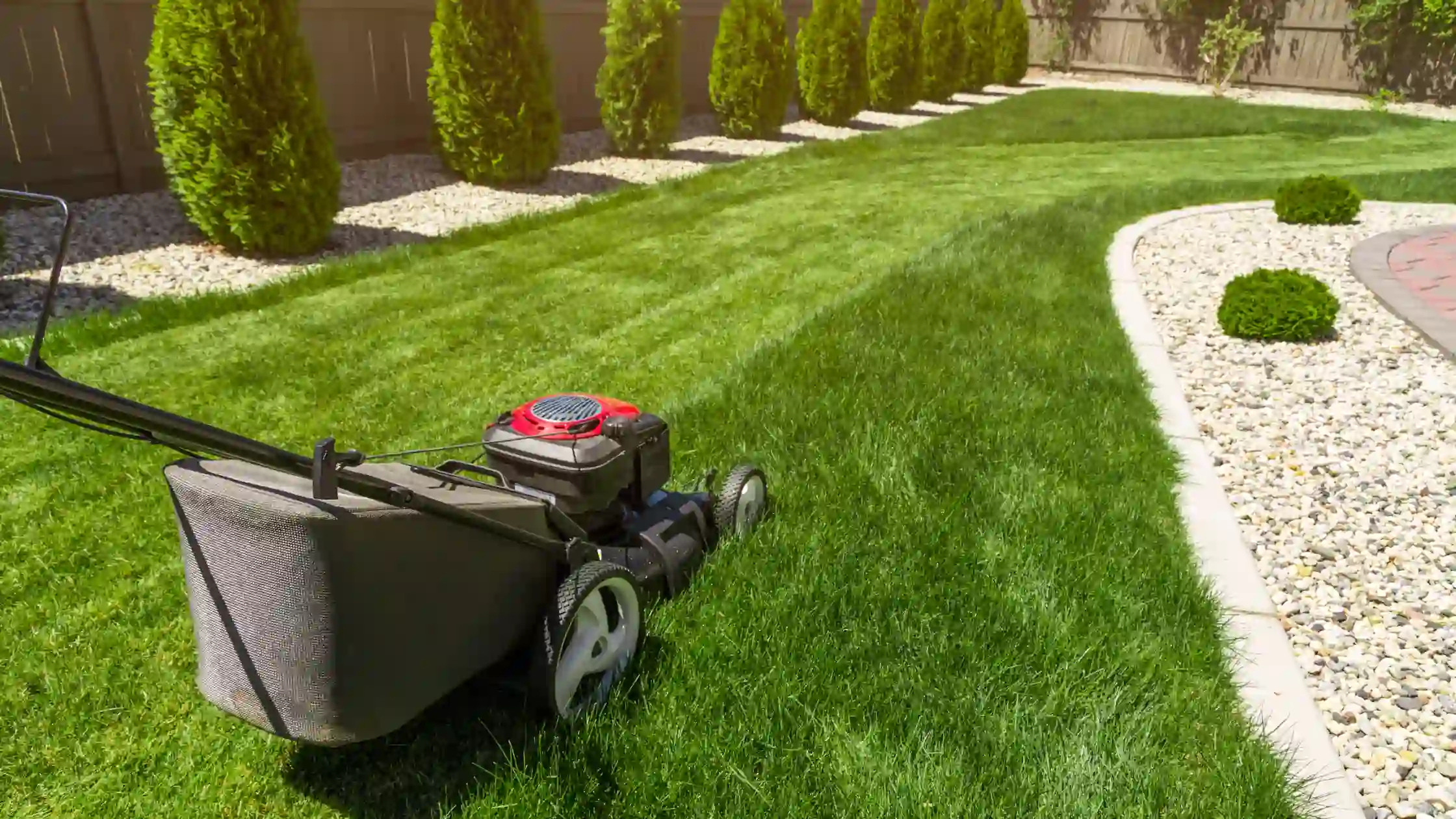 lawn mower and green grass
