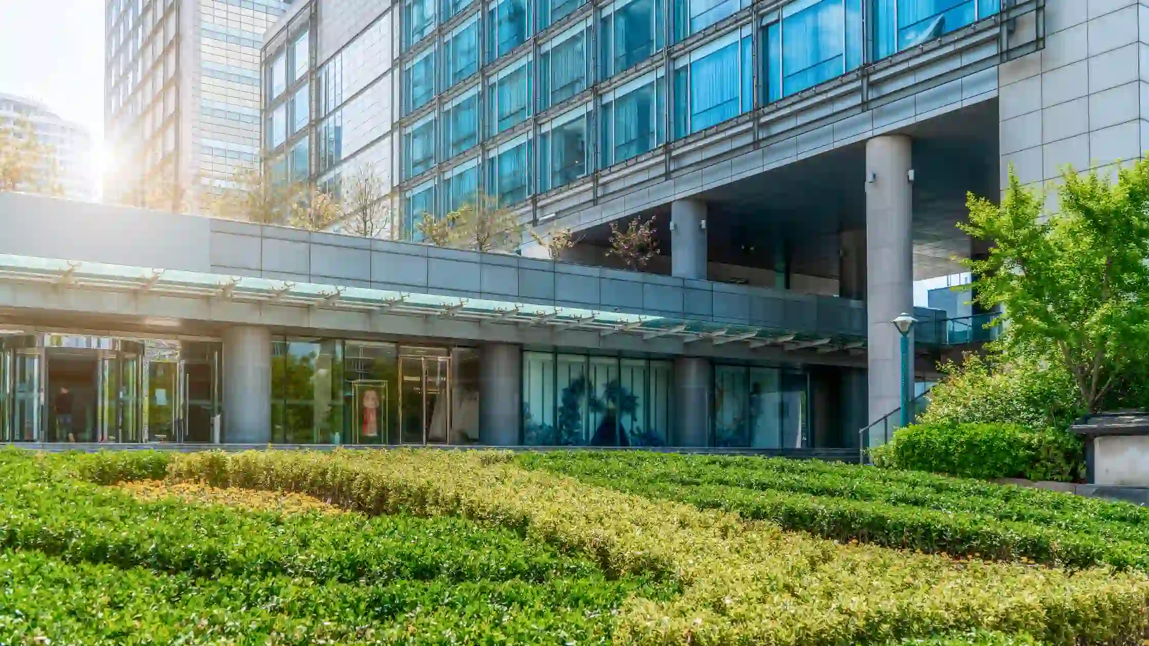 a commercial building lawn
